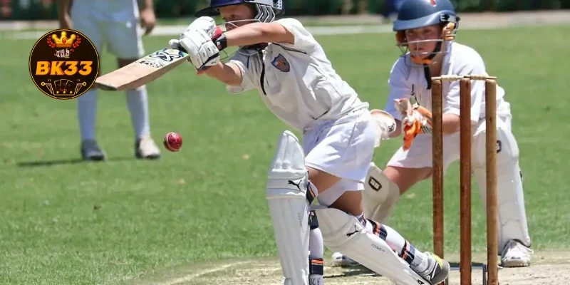 The rules of Mega Cricket game