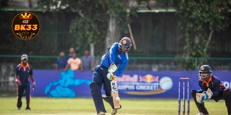 Overview of Cricket Betting