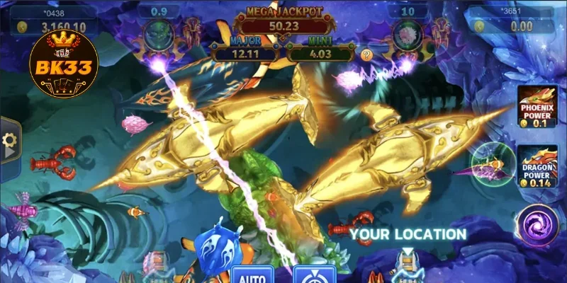 Tips for Success on Fishing BK33