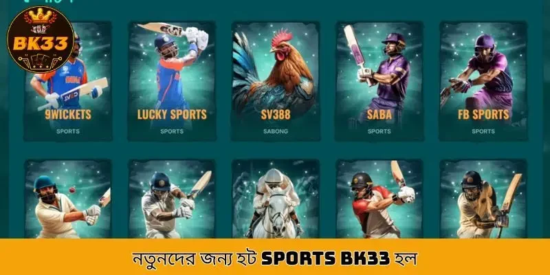 Sports BK33 is interesting for beginners